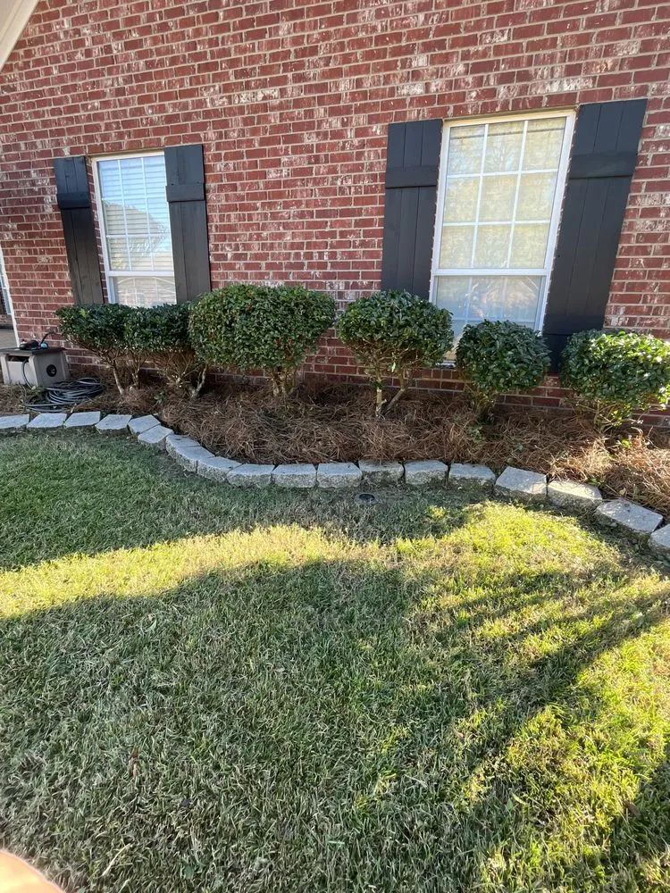 Trusted lawn care service for year-round maintenance across Pelahatchie, MS - White’s Landscaping Services