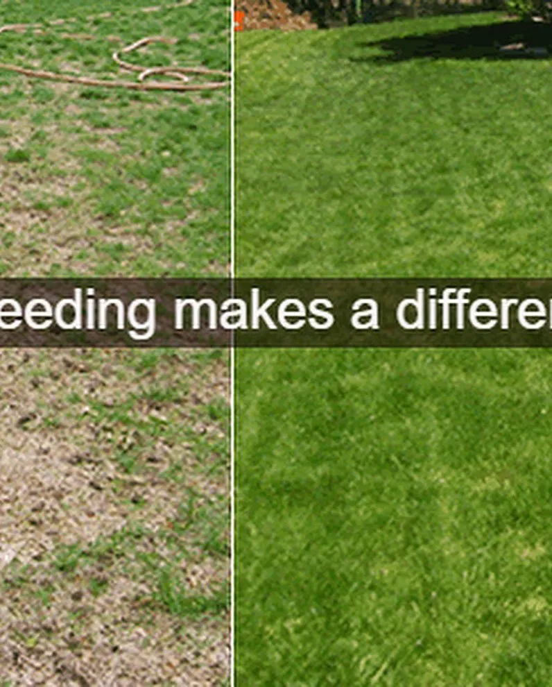 Professional outdoor landscaping near you in Dent, MN by White's Lawn and Snow Care