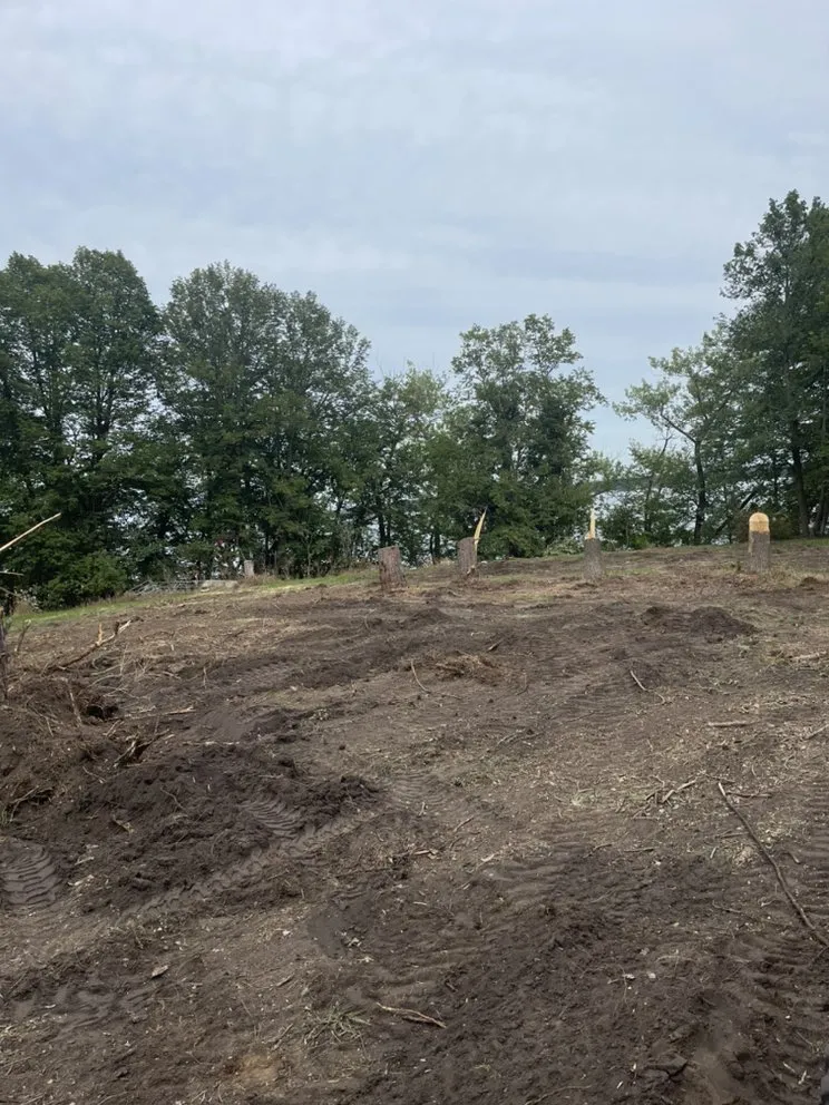 Local landscaping services in Dent, MN by White's Lawn and Snow Care