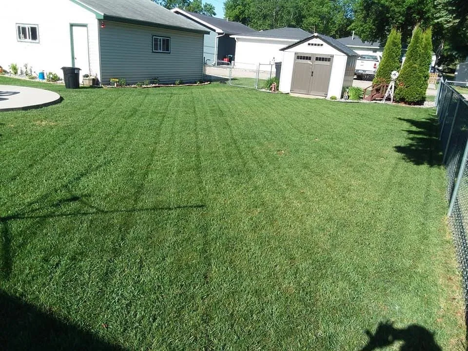 Trusted residential landscaping in Dent, MN - White's Lawn and Snow Care