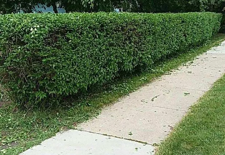 Professional garden landscaping in Dent, MN by White's Lawn and Snow Care