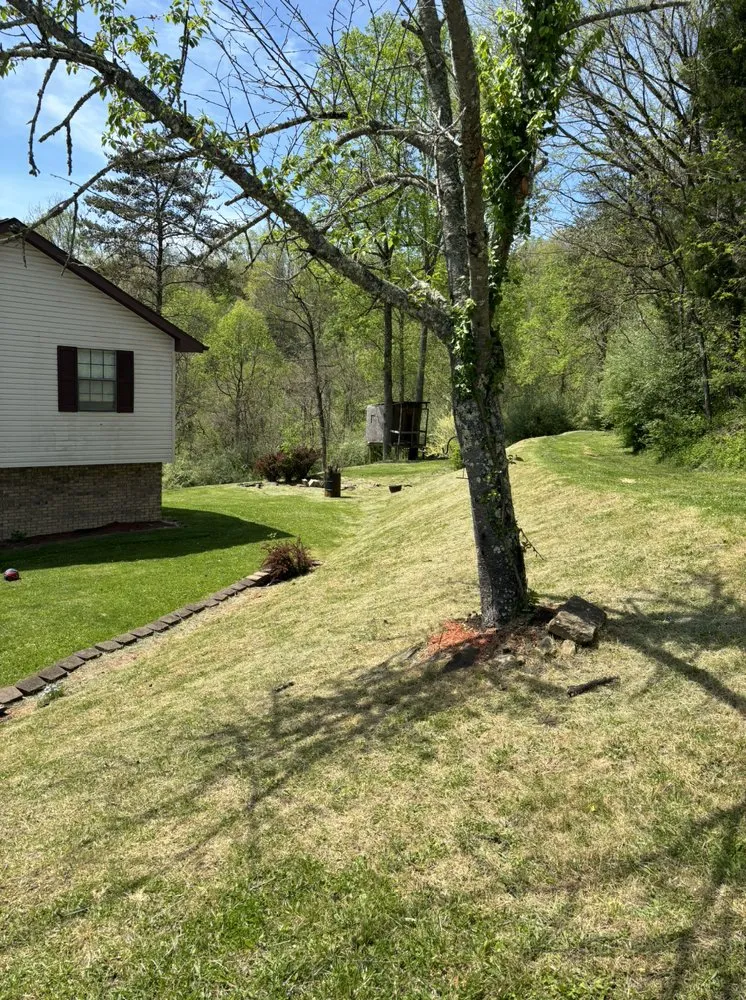 Top-rated residential landscaping in Hurricane, WV - White’s Lawn And Tree