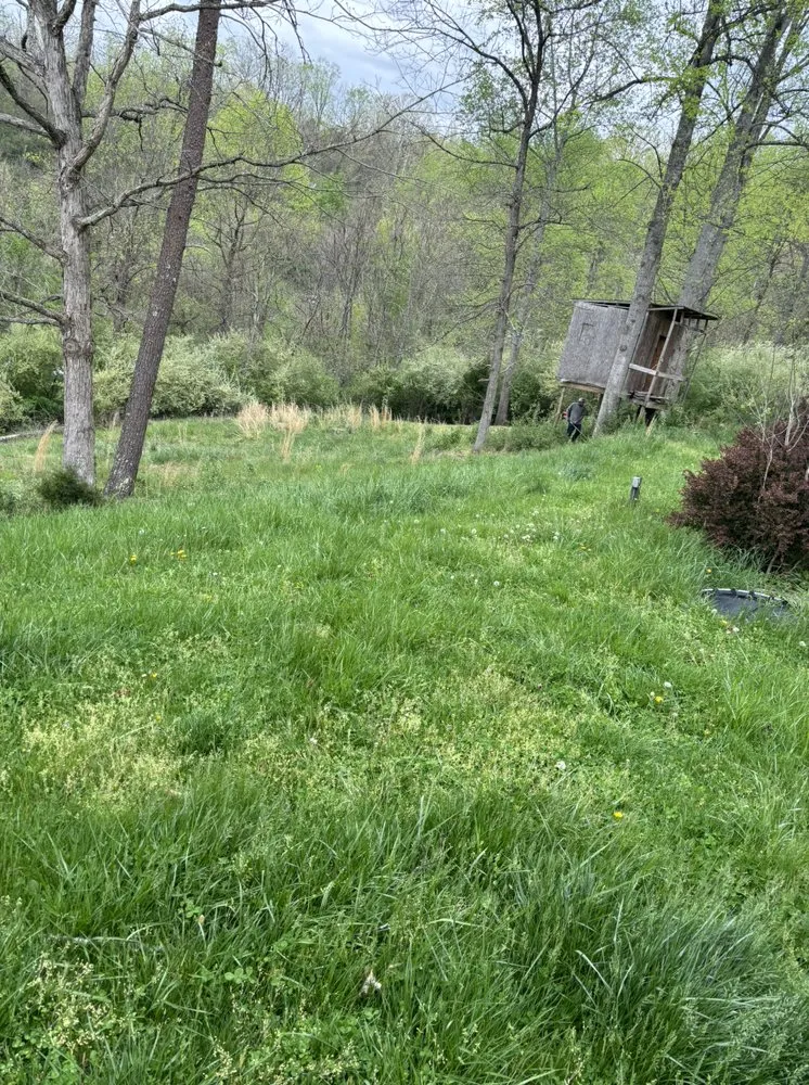 Trusted landscape installation with custom design across Hurricane, WV - White’s Lawn And Tree