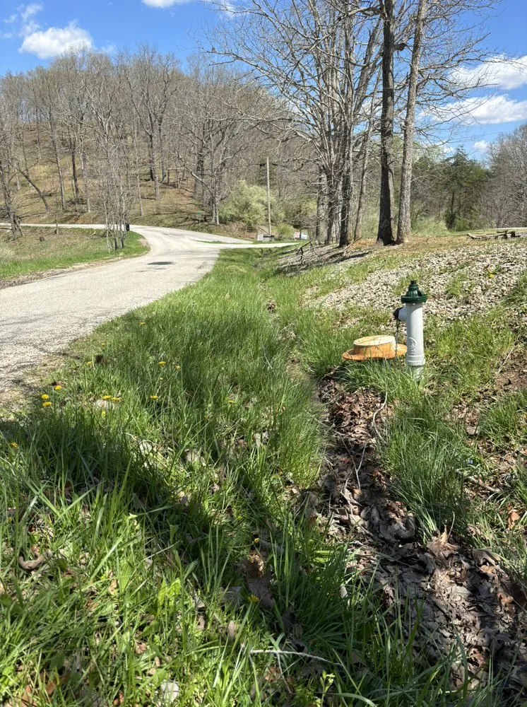 Affordable yard cleanup service in Hurricane, WV - White’s Lawn And Tree