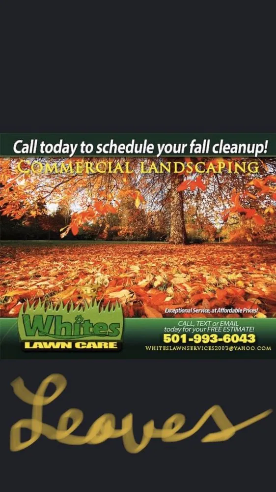 Affordable outdoor landscaping experts serving Little Rock, AR - Whites Lawn Services & Landscaping