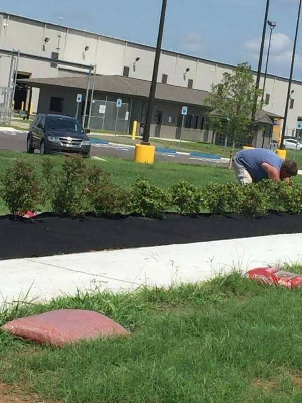 Reliable landscaping services in Little Rock, AR - Whites Lawn Services & Landscaping