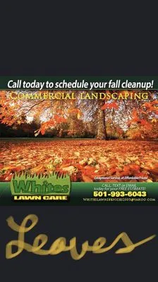 Whites Lawn Services & Landscaping Logo
