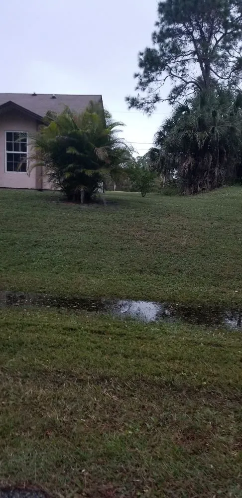 Affordable landscape installation experts serving Palm bay, FL - Whites LawnCare