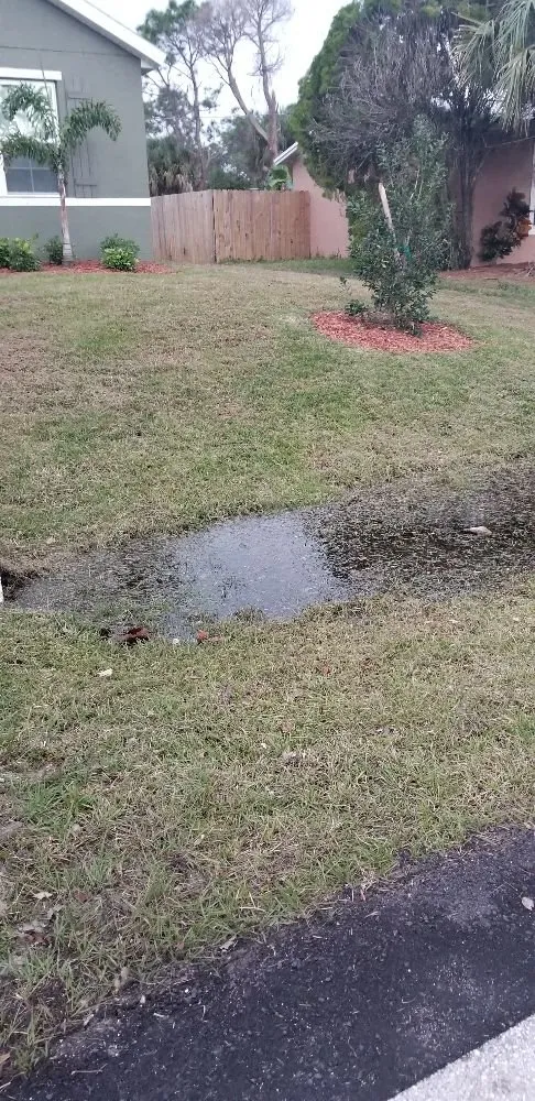 Local yard cleanup service experts serving Palm bay, FL - Whites LawnCare