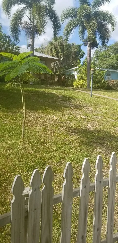 Top-rated yard cleanup service in Palm bay, FL by Whites LawnCare