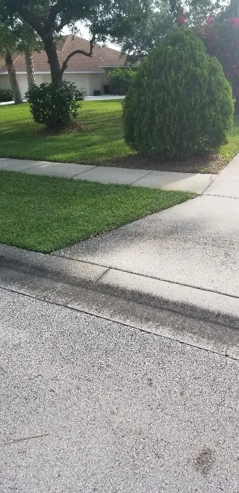 Expert landscape design for homes in Palm bay, FL by Whites LawnCare