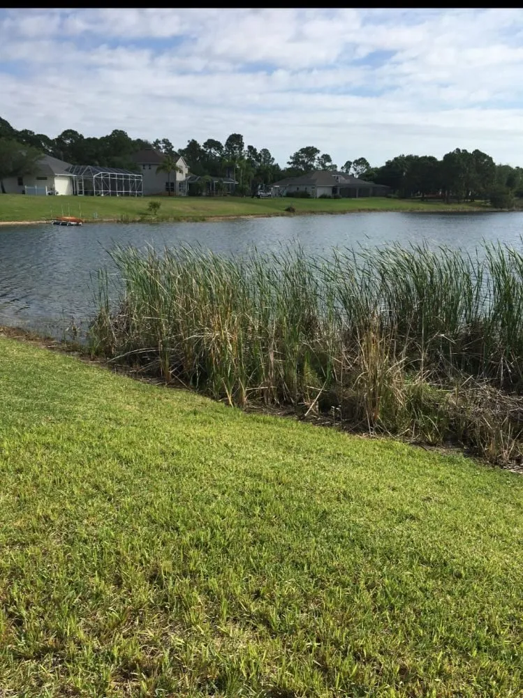 Trusted landscape design in Palm bay, FL - Whites LawnCare