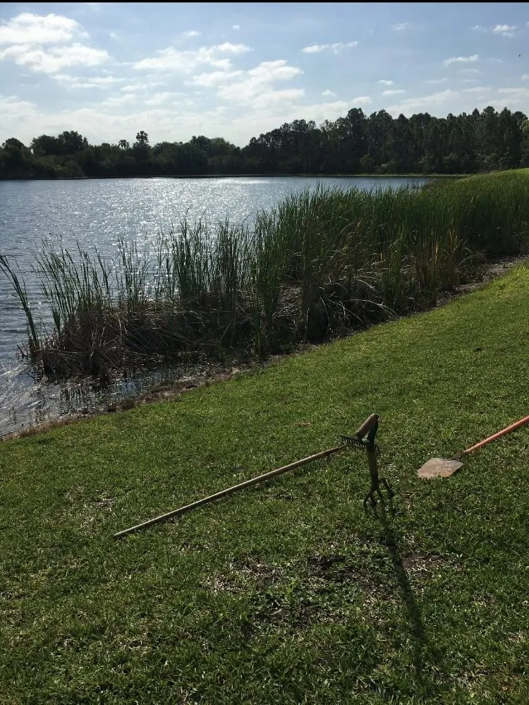 Affordable landscaping services for homes across Palm bay, FL - Whites LawnCare