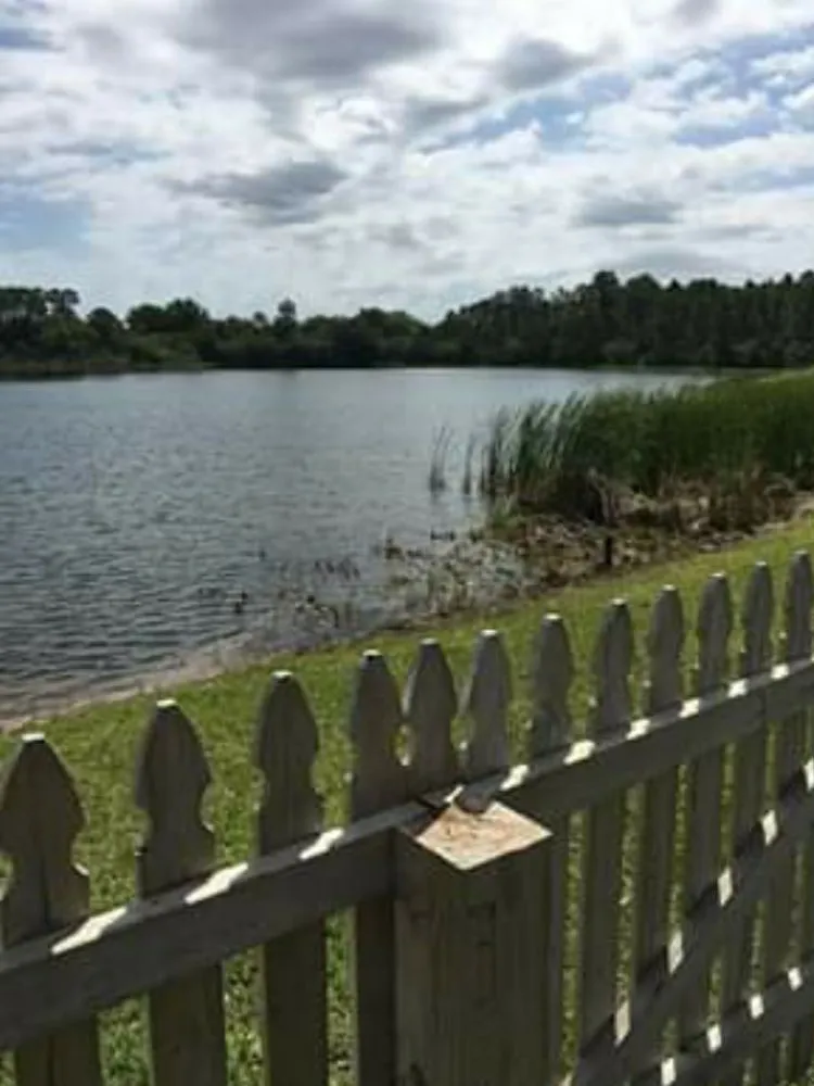 Top-rated yard cleanup service experts serving Palm bay, FL - Whites LawnCare