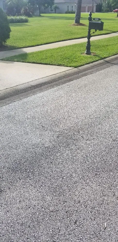 Local yard cleanup service in Palm bay, FL - Whites LawnCare