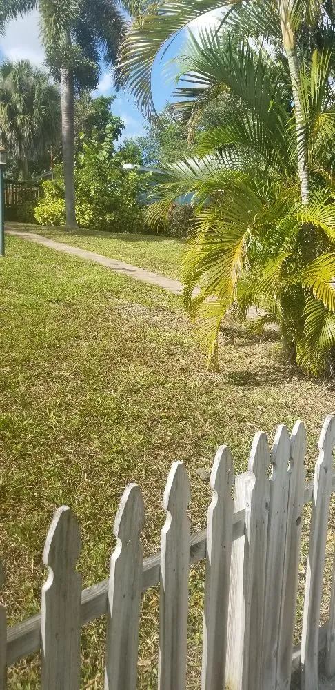 Top-rated yard maintenance for outdoor upgrades in Palm bay, FL by Whites LawnCare