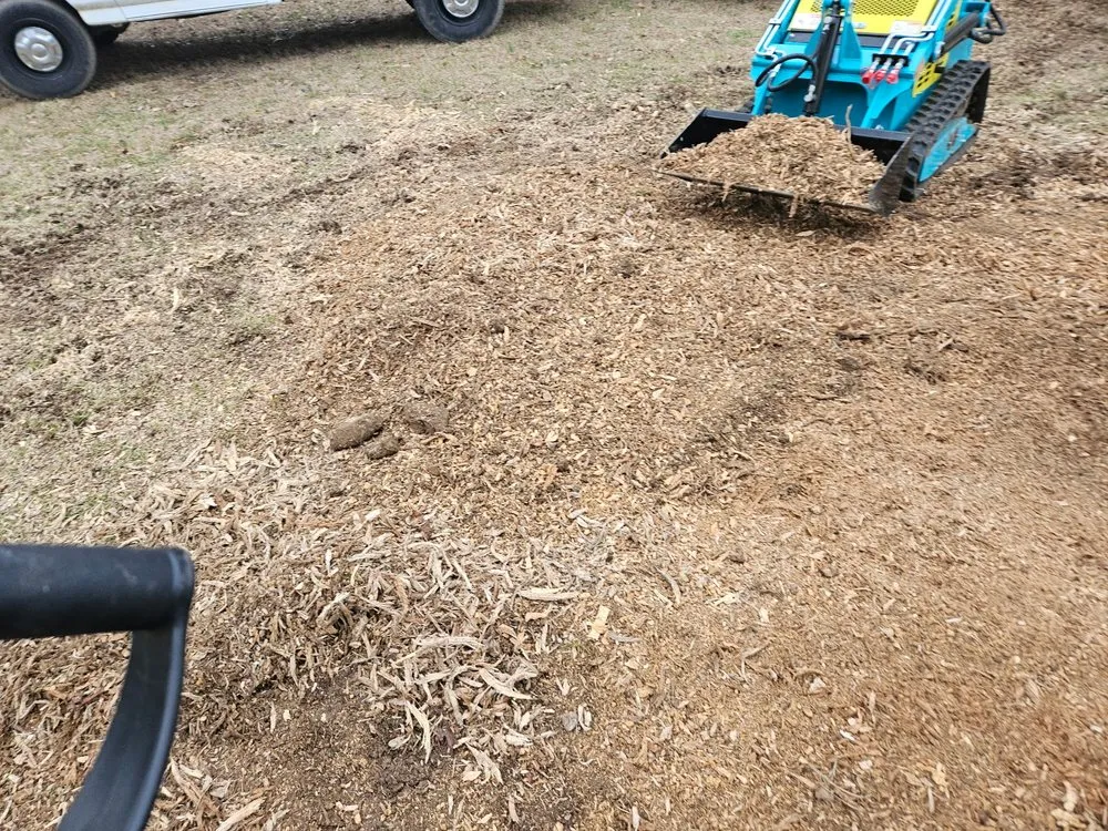 Trusted lawn care service experts serving Jackson, MS - White's Mobile Mechanic & Landscaping Service