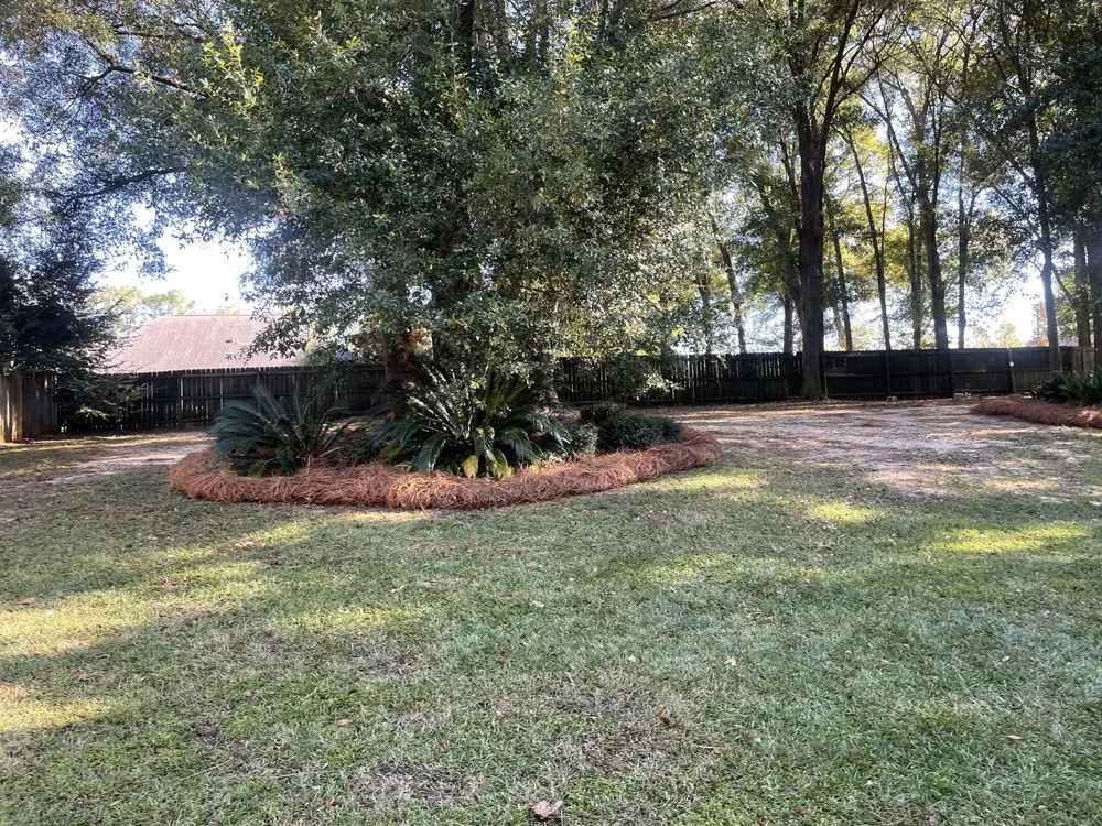 Professional lawn mowing service for beautiful yards in Cottonwood, AL by White’s Outdoor