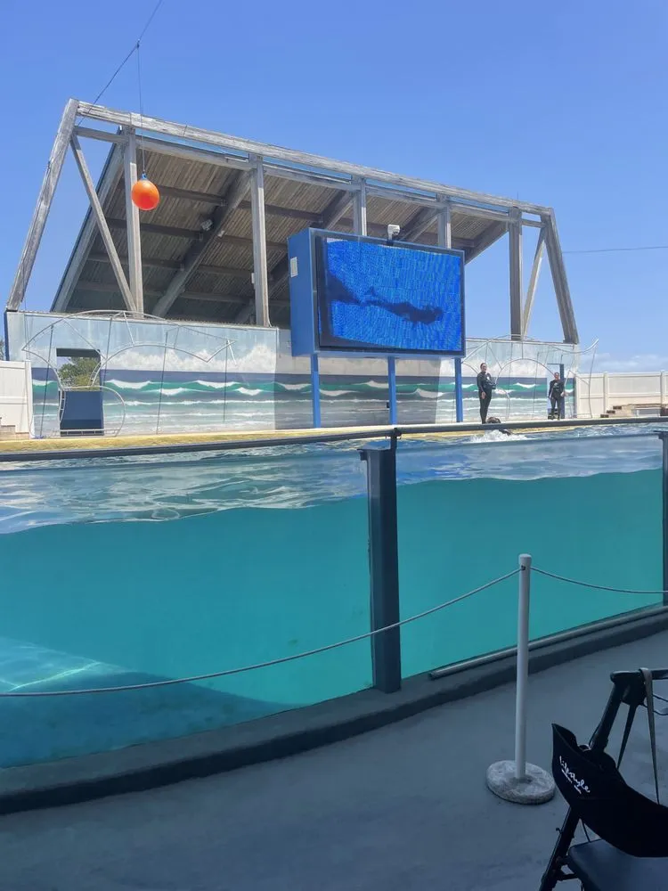 Top-rated landscape installation for beautiful yards across Cottonwood, AL - White’s Outdoor