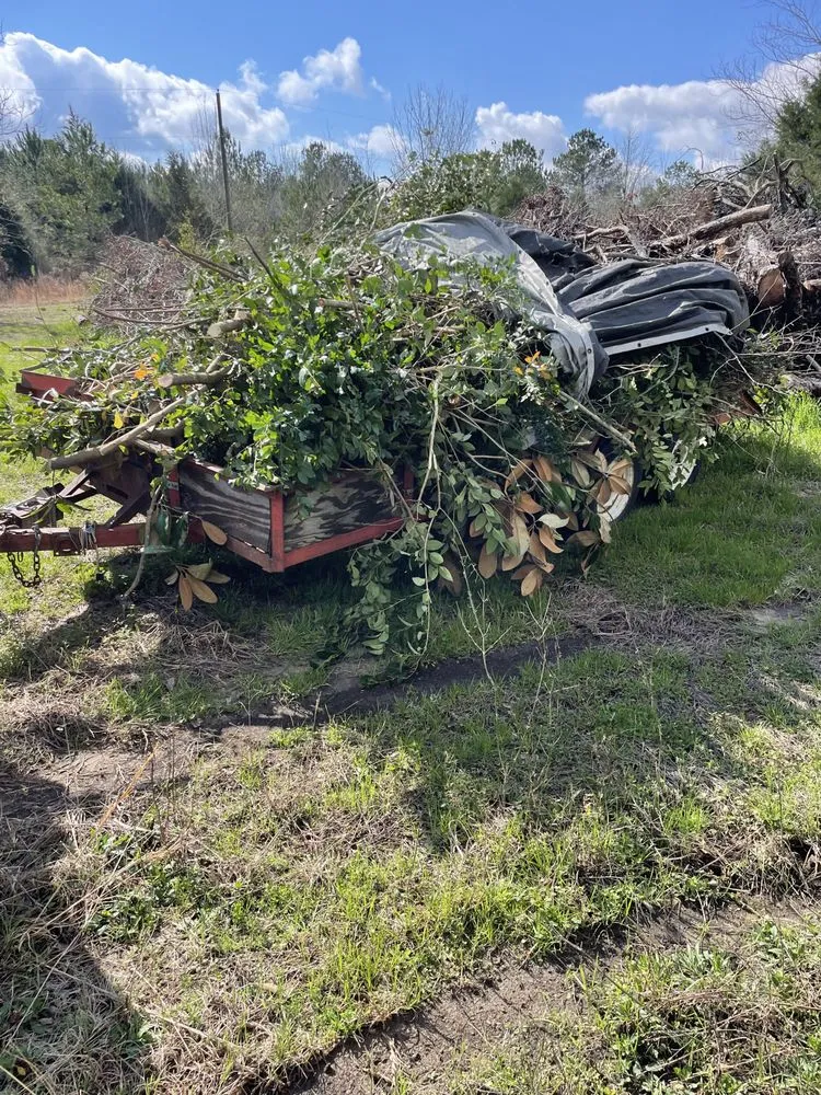 Custom lawn care service experts serving Cottonwood, AL - White’s Outdoor