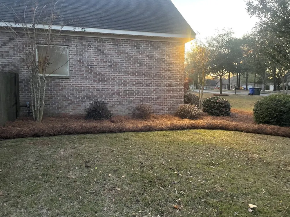 Custom lawn mowing service in Cottonwood, AL - White’s Outdoor