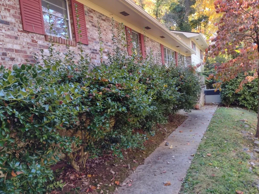 Professional landscape design experts serving Friendsville, TN - Whites Property Maintenance