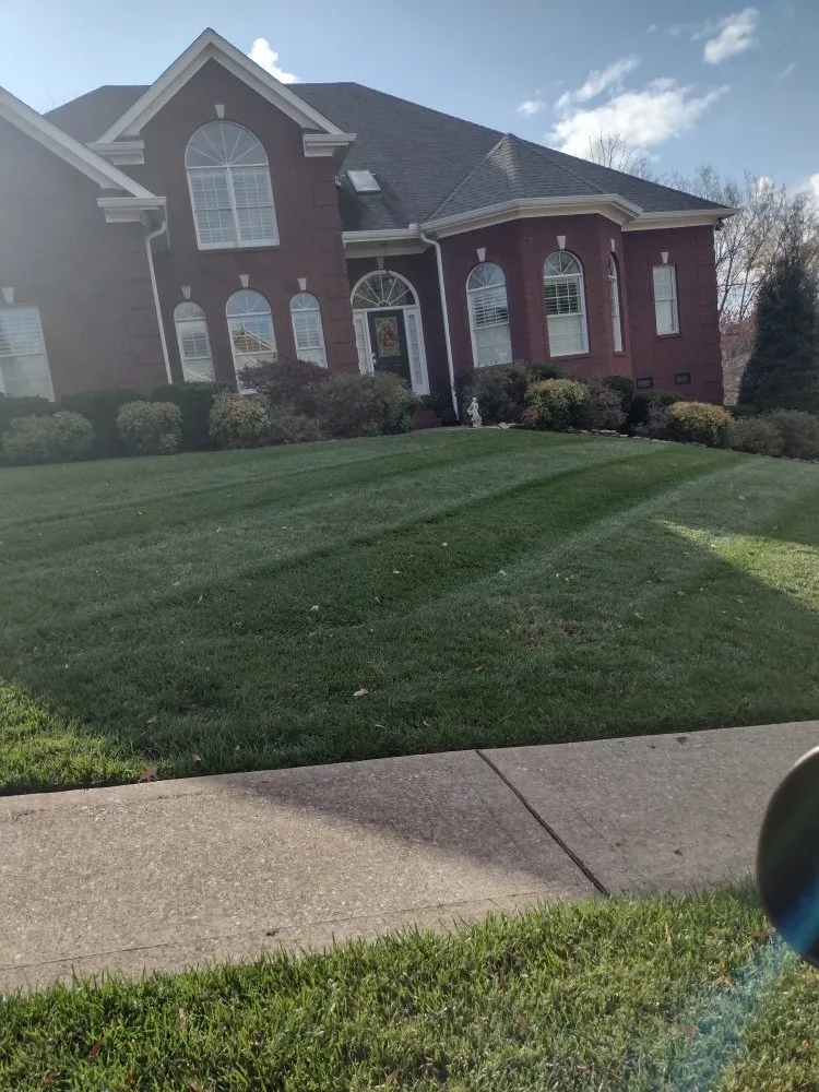 Affordable lawn mowing service experts serving Friendsville, TN - Whites Property Maintenance