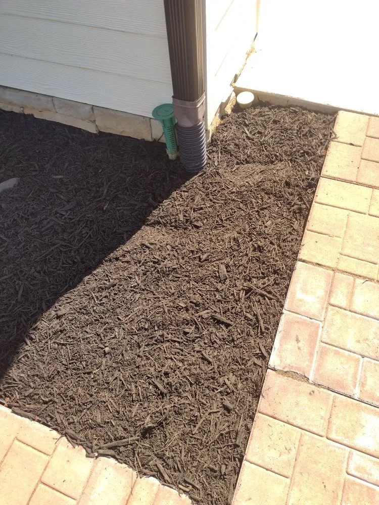 Professional landscaping services in Friendsville, TN - Whites Property Maintenance