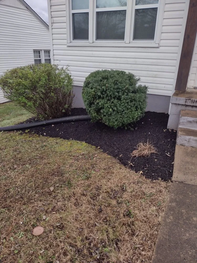Affordable yard cleanup service in Friendsville, TN - Whites Property Maintenance