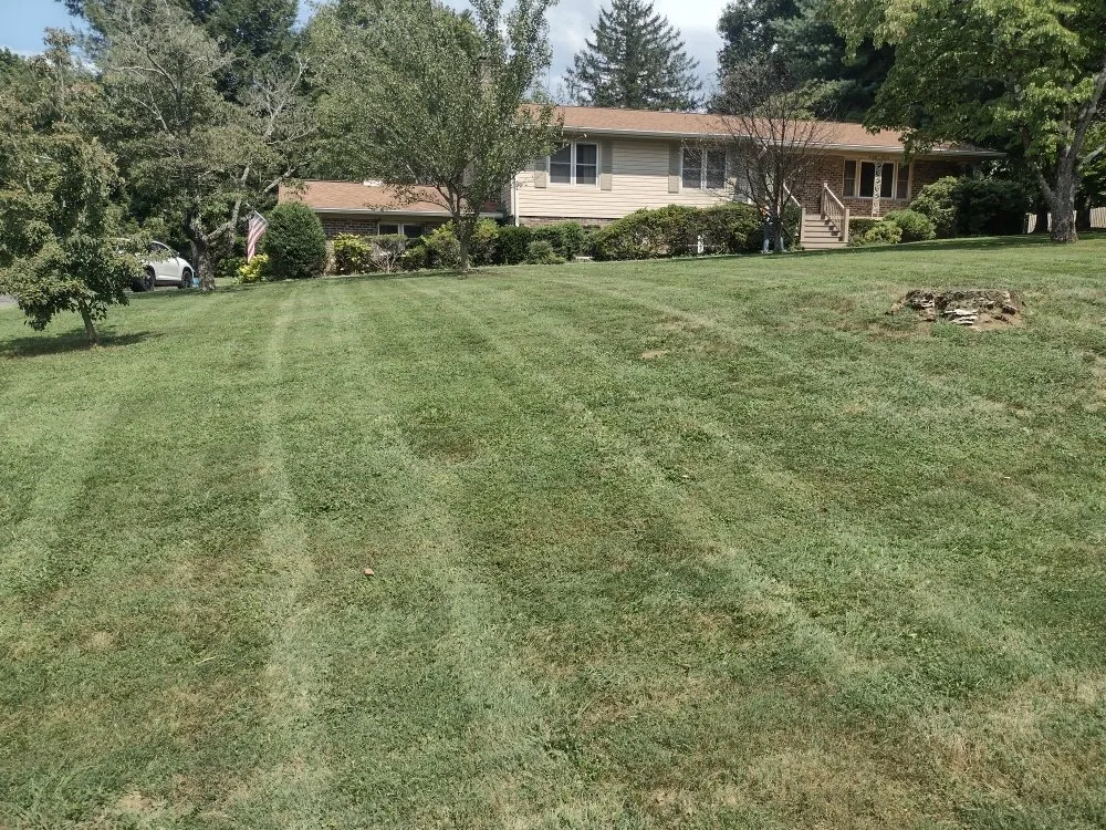 Top-rated yard maintenance for year-round maintenance across Friendsville, TN - Whites Property Maintenance