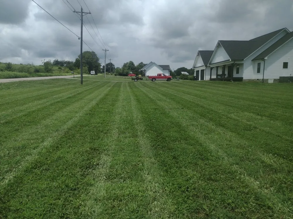 Affordable yard cleanup service in Friendsville, TN - Whites Property Maintenance