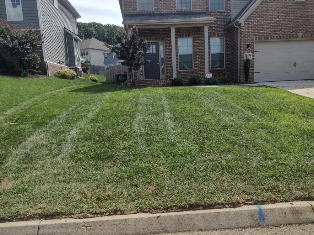 Custom lawn care service in Friendsville, TN - Whites Property Maintenance