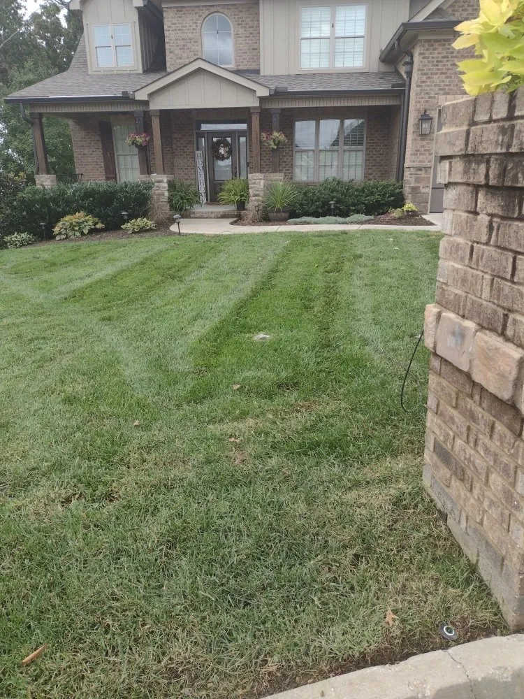 Reliable residential landscaping experts serving Friendsville, TN - Whites Property Maintenance