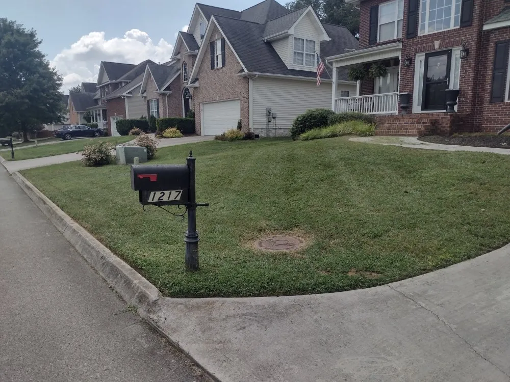 Custom landscaping services near you across Friendsville, TN - Whites Property Maintenance
