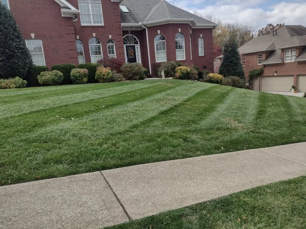 Trusted outdoor landscaping in Friendsville, TN - Whites Property Maintenance