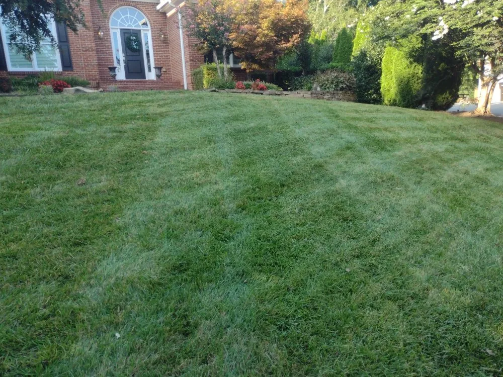 Trusted landscape design in Friendsville, TN by Whites Property Maintenance
