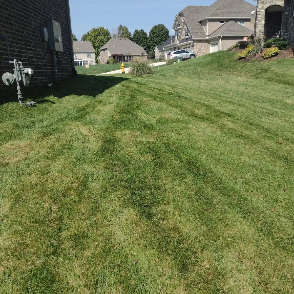 Top-rated landscaping services in Friendsville, TN by Whites Property Maintenance
