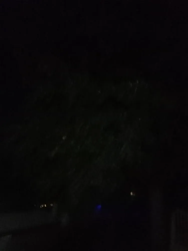 Reliable yard cleanup service experts serving Fenton, MO - Whites Tree And Lawn Service