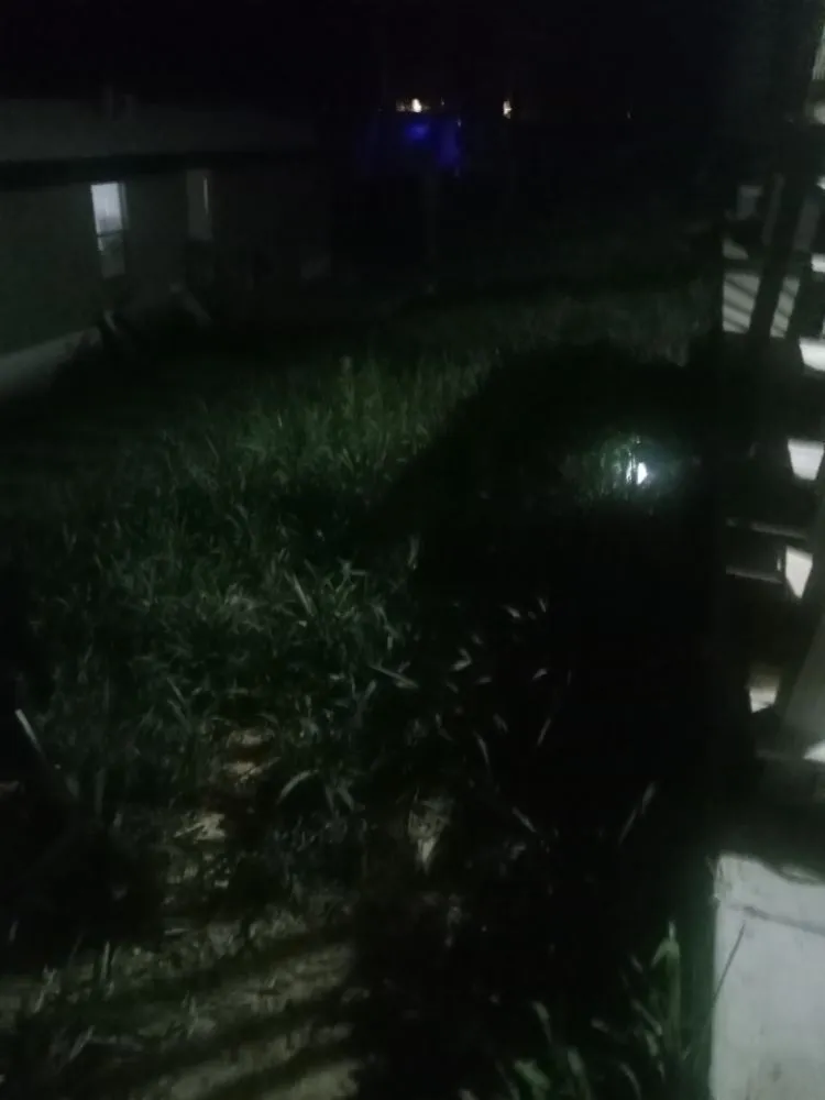 Expert outdoor landscaping experts serving Fenton, MO - Whites Tree And Lawn Service