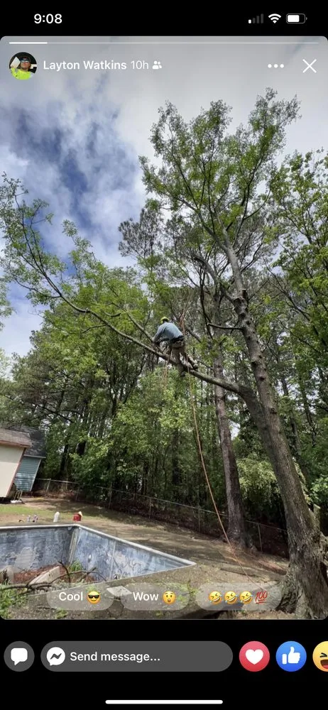Professional outdoor landscaping with custom design across Faison, NC - White's Tree Removal & Hauling