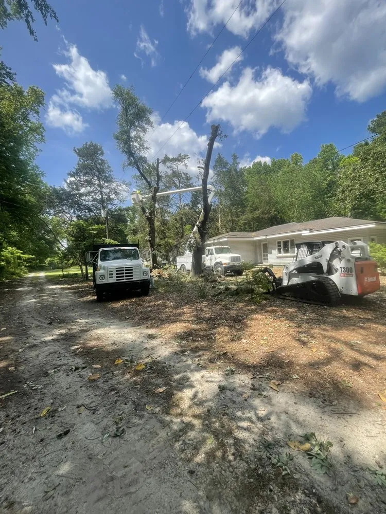 Custom lawn mowing service in Faison, NC by White's Tree Removal & Hauling