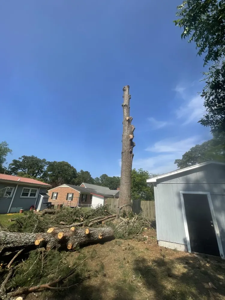 Custom landscape installation experts serving Faison, NC - White's Tree Removal & Hauling