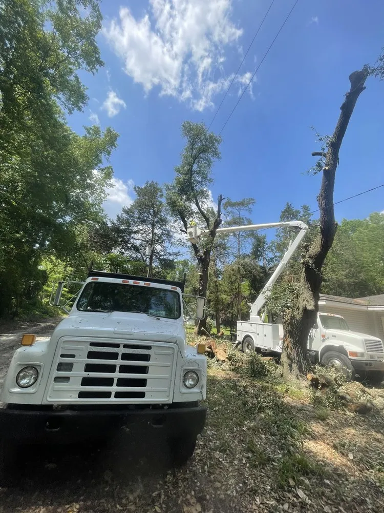 Professional landscape design near you in Faison, NC by White's Tree Removal & Hauling