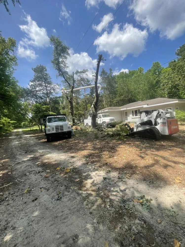 Professional landscape installation in Faison, NC - White's Tree Removal & Hauling