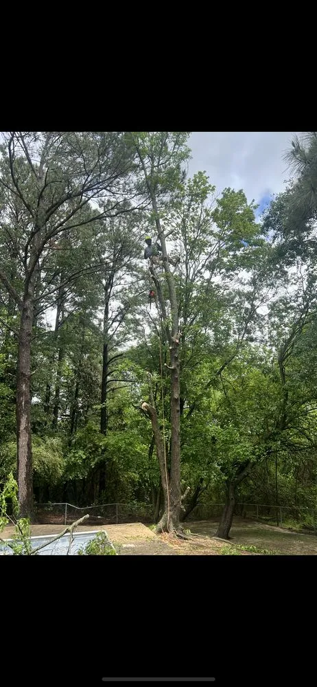 Trusted landscape installation in Faison, NC - White's Tree Removal & Hauling