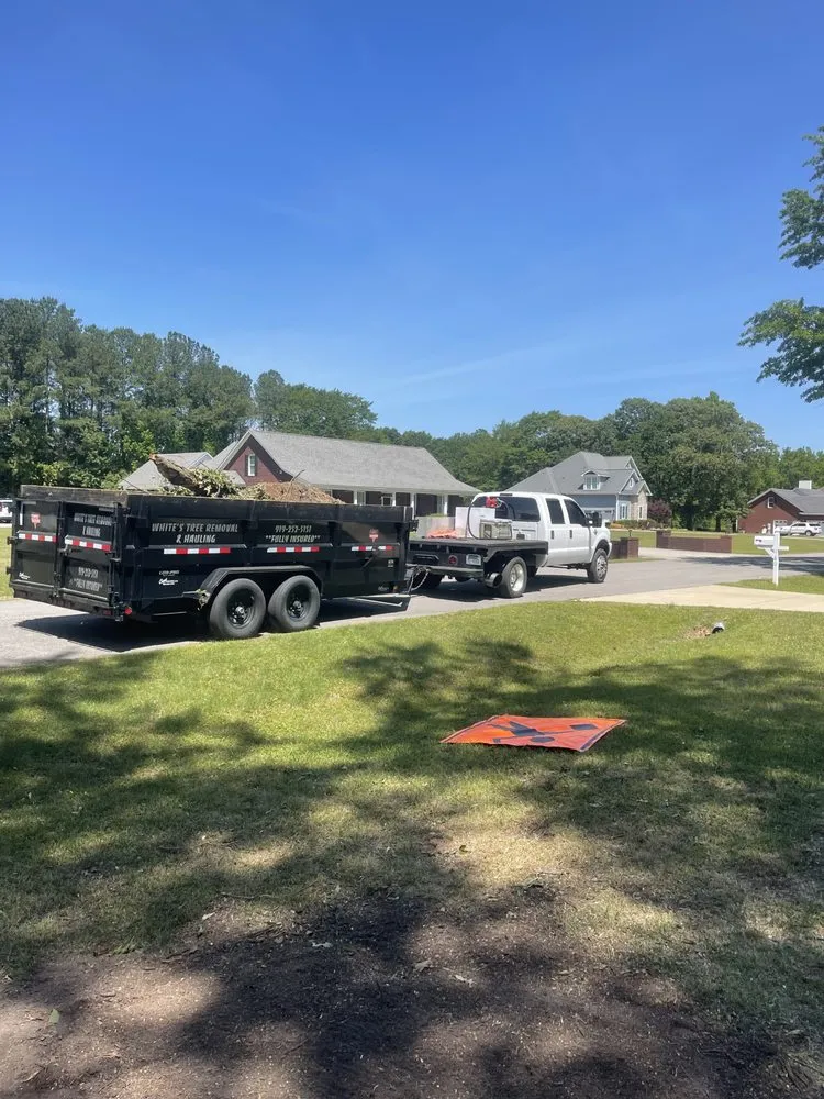 Professional lawn mowing service in Faison, NC - White's Tree Removal & Hauling