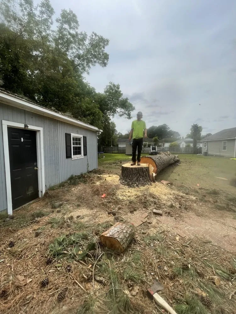 Trusted lawn care service in Faison, NC - White's Tree Removal & Hauling