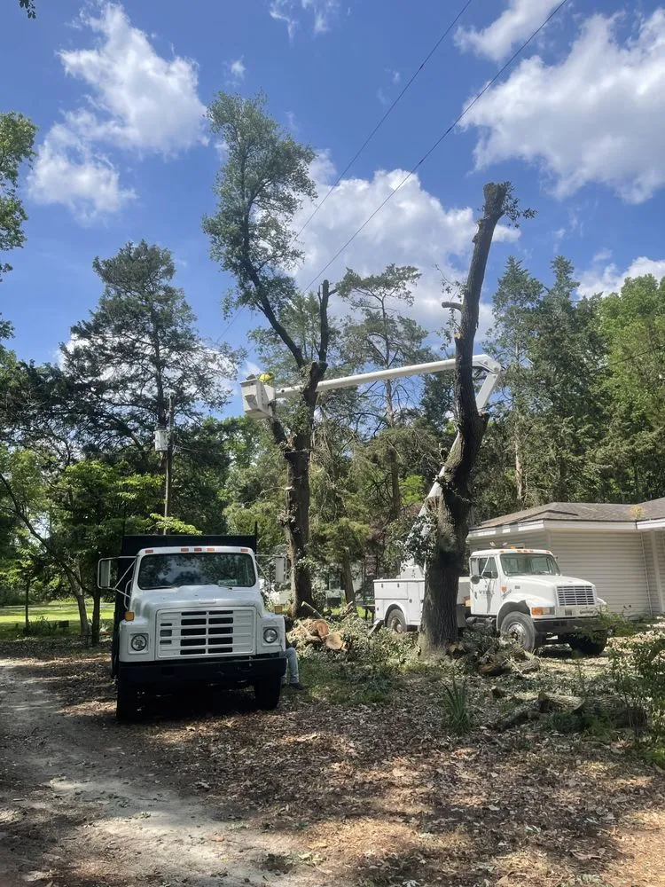 Top-rated residential landscaping with custom design in Faison, NC by White's Tree Removal & Hauling