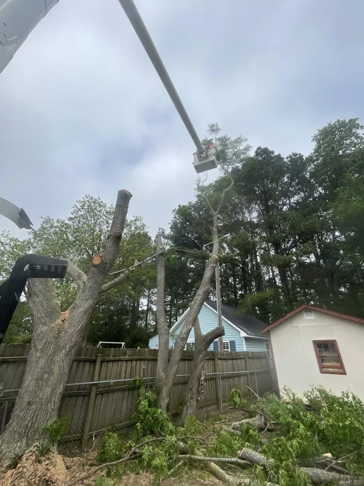 Top-rated landscape installation for beautiful yards in Faison, NC by White's Tree Removal & Hauling