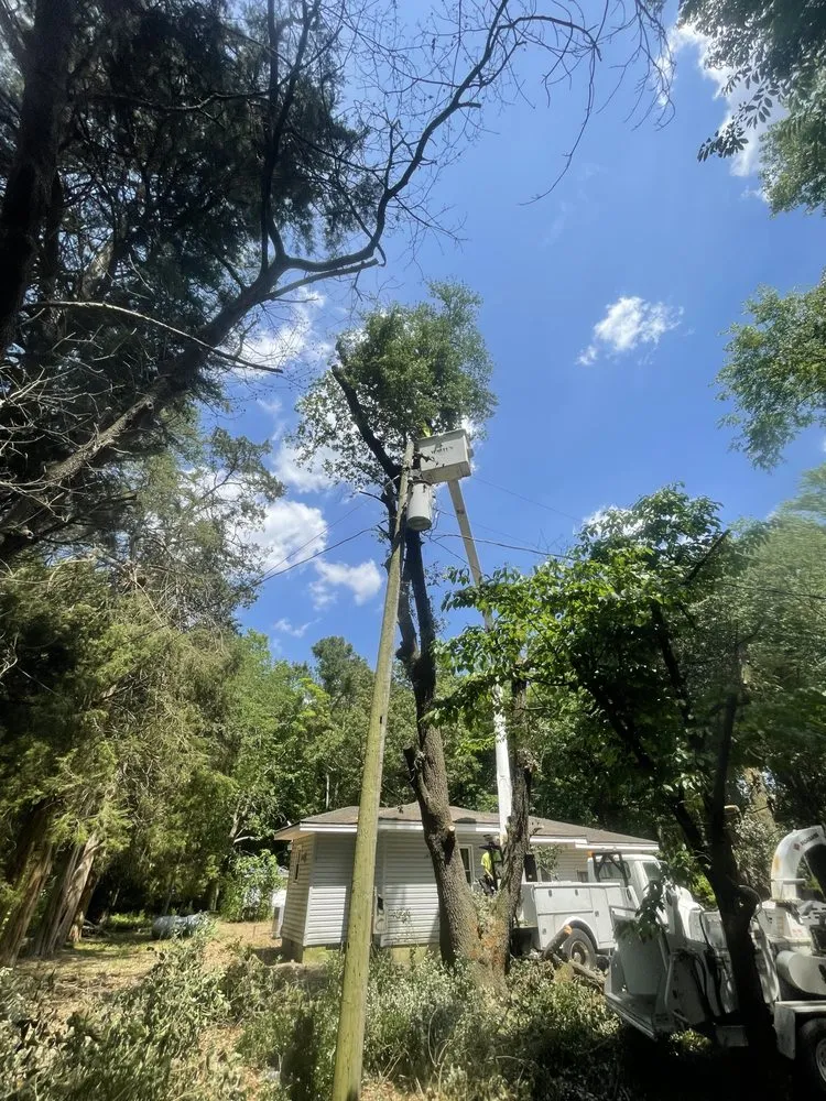 Custom landscape installation in Faison, NC - White's Tree Removal & Hauling
